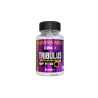 Real Pharm TRIBULUS - Testo UP 60kaps 