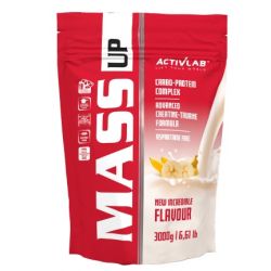 Activlab Mass Up 3000g