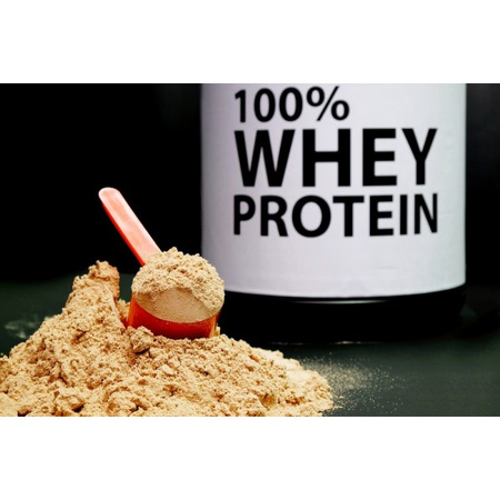 ProActive Whey bag 700 gr CHOCOLATE