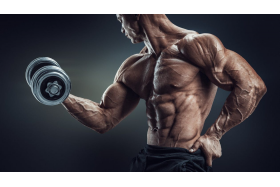 Jak zbudować biceps?