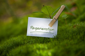 Jak przyspieszyć regenerację?