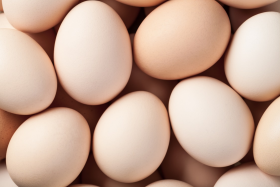 Jaja kurze- Wartościowe źródło białka?