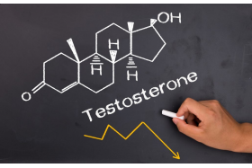 Booster testosteronu- charakterystyka