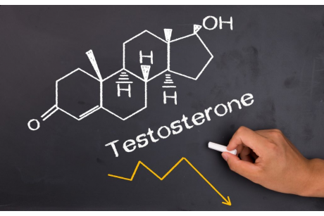 Booster testosteronu- charakterystyka