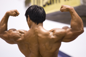 Podstawowy budulec mięśni - białko